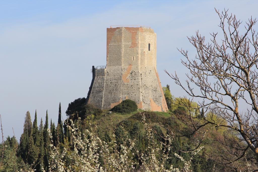 La Terrazza Sulla Val D'Orcia Lejlighed Castiglione dʼOrcia Eksteriør billede