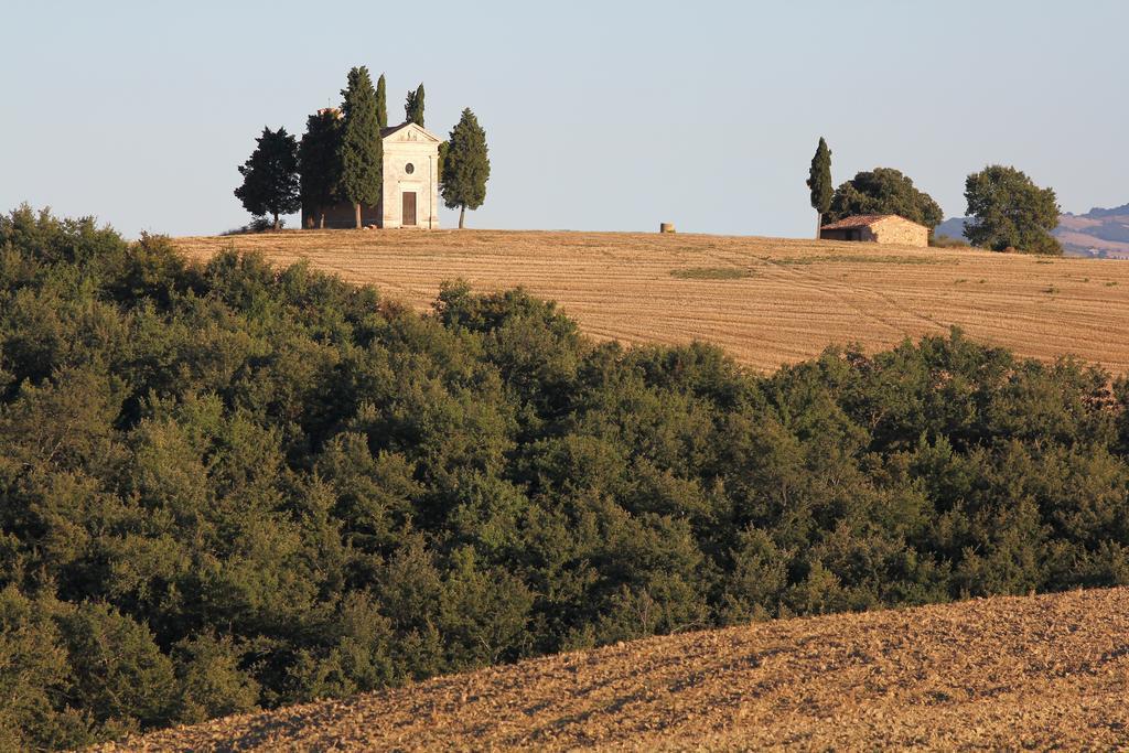 La Terrazza Sulla Val D'Orcia Lejlighed Castiglione dʼOrcia Eksteriør billede