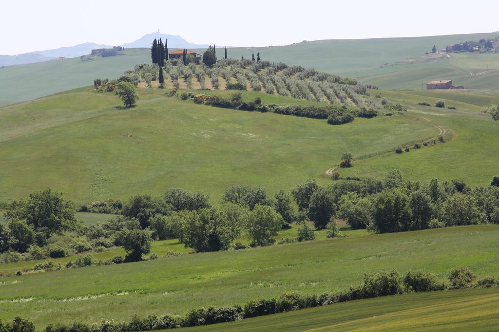 La Terrazza Sulla Val D'Orcia Lejlighed Castiglione dʼOrcia Eksteriør billede